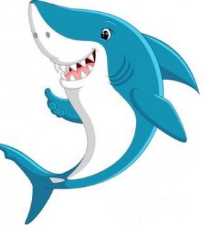 shark