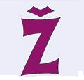 Črka Ž