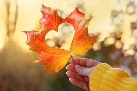 Heart Autumn Images – Browse 203,799 Stock Photos, Vectors, and Video |  Adobe Stock