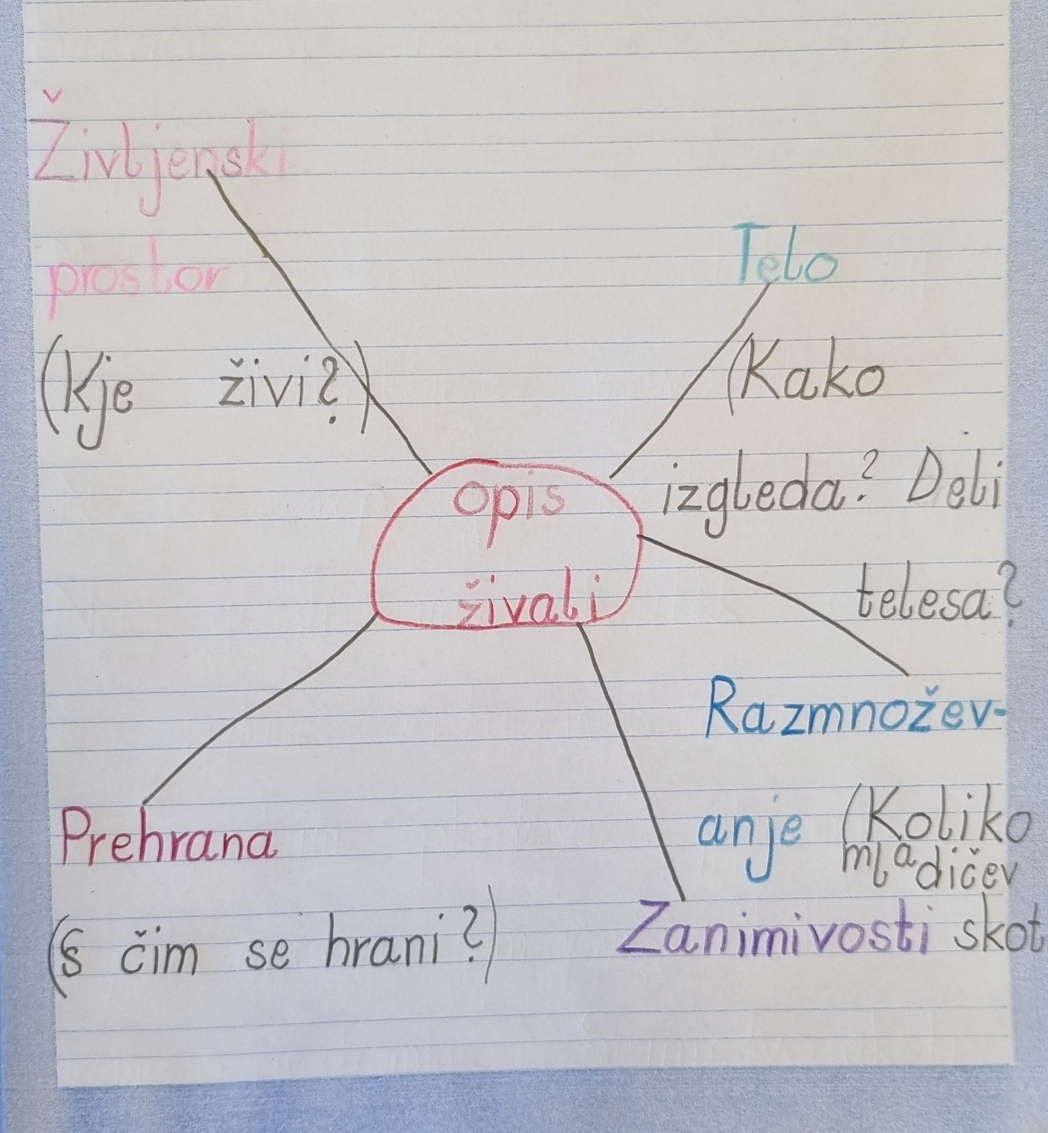opis živali