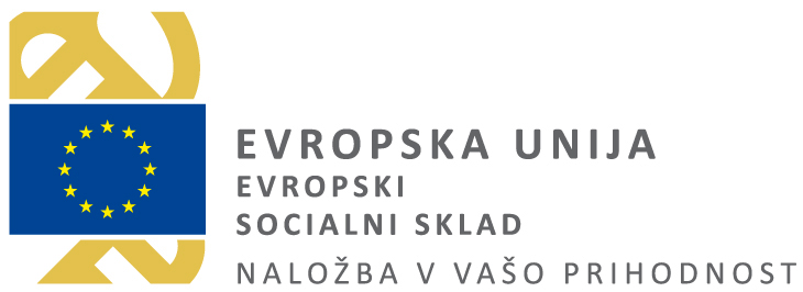 Logotip ESS Evropske unije, Naložba v vašo prihodnost